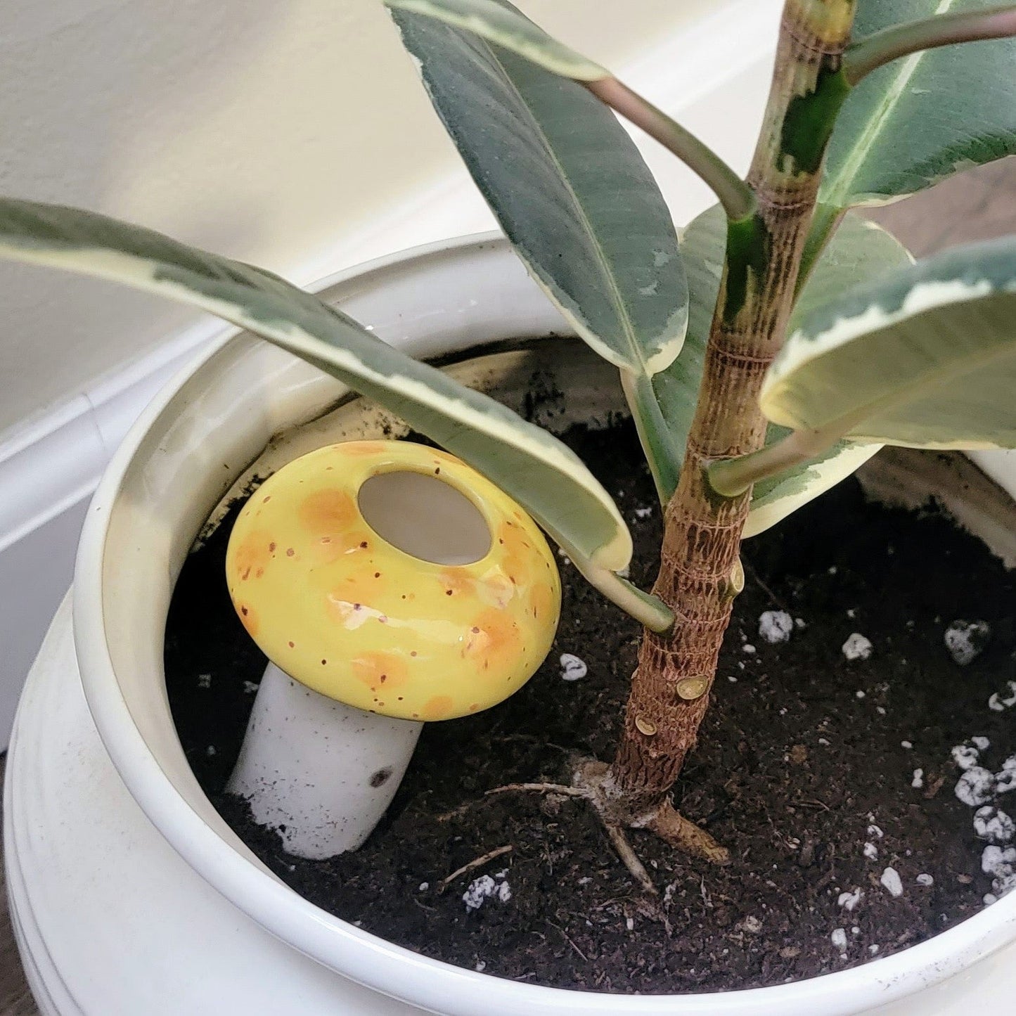 Medium Mushroom Watering Spike