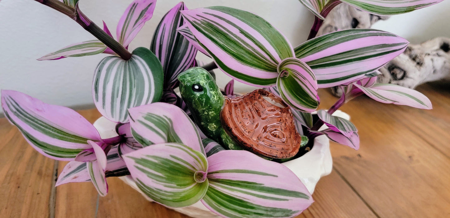 Turtle Plant Watering Spike