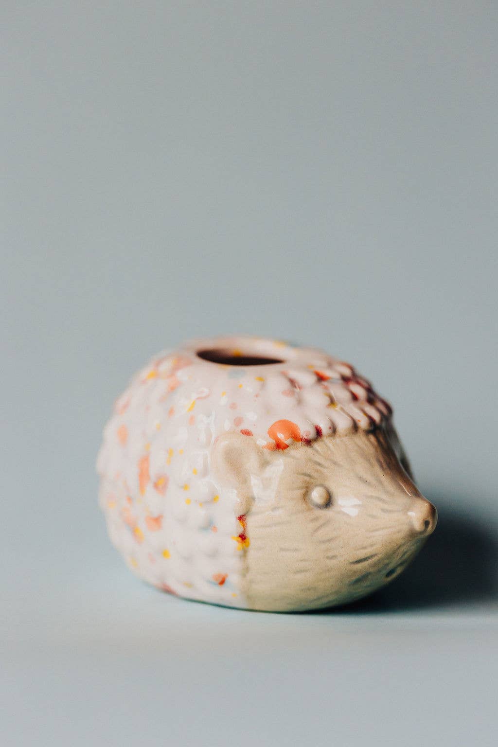 Hedgehog Air Plant Friend + Airplant