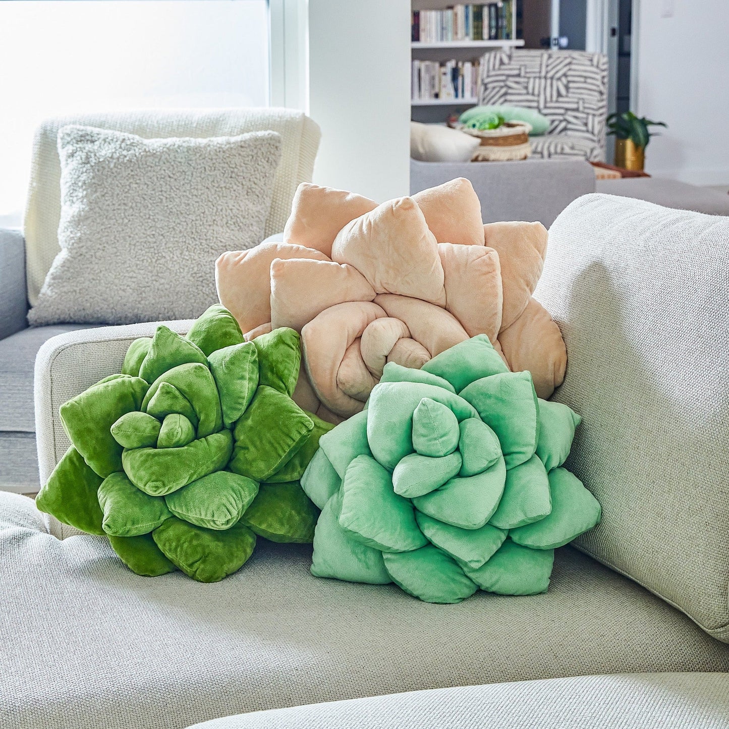 Lil' Pop Succulent® - Sage Green