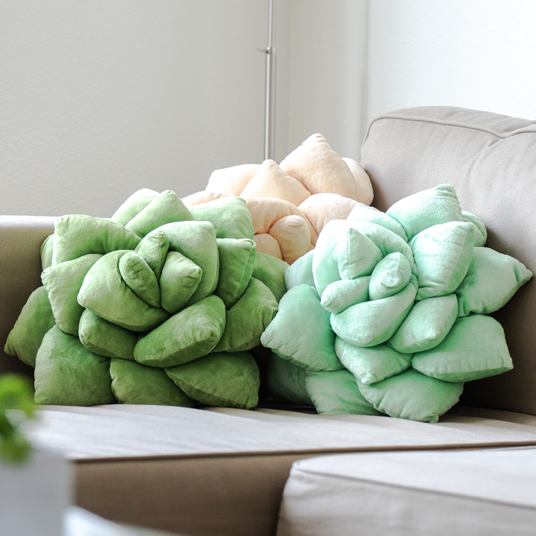 Lil' Pop Succulent® - Olive Green