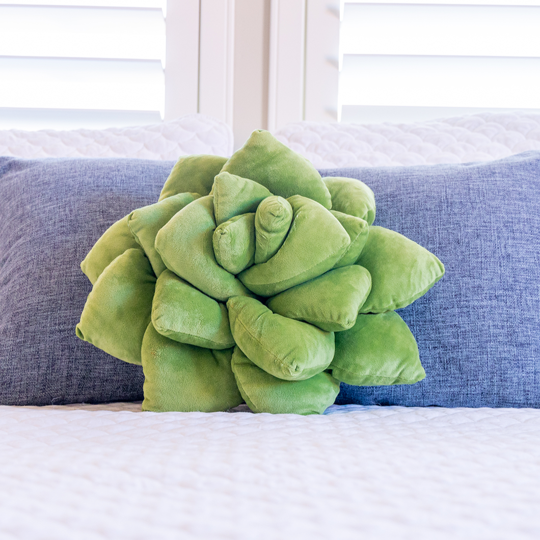 Lil' Pop Succulent® - Olive Green