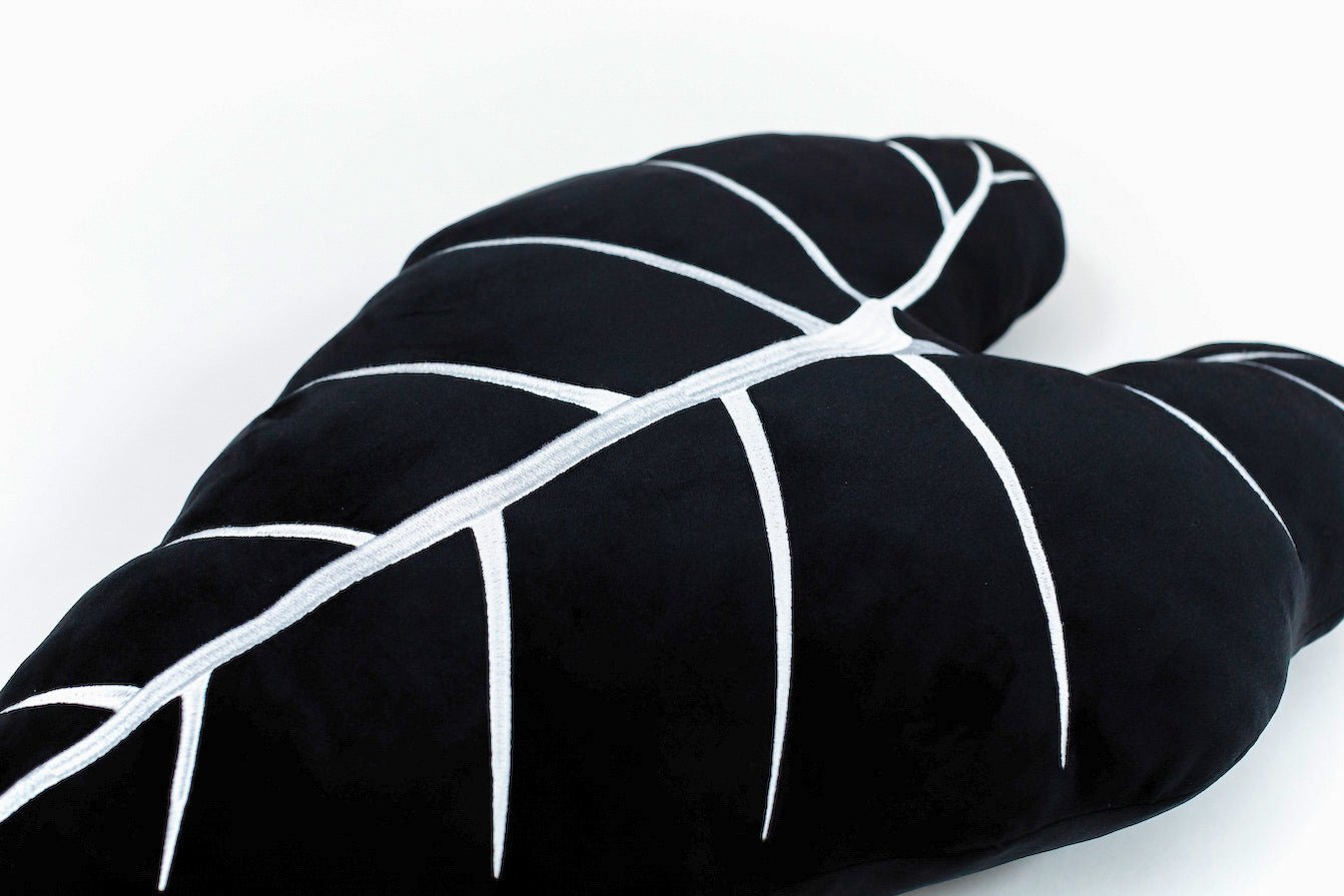 Alocasia Frydek - Obsidian