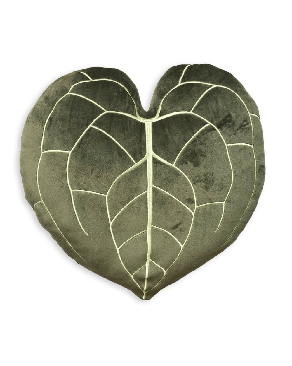 Anthurium Clarinervium - Khaki