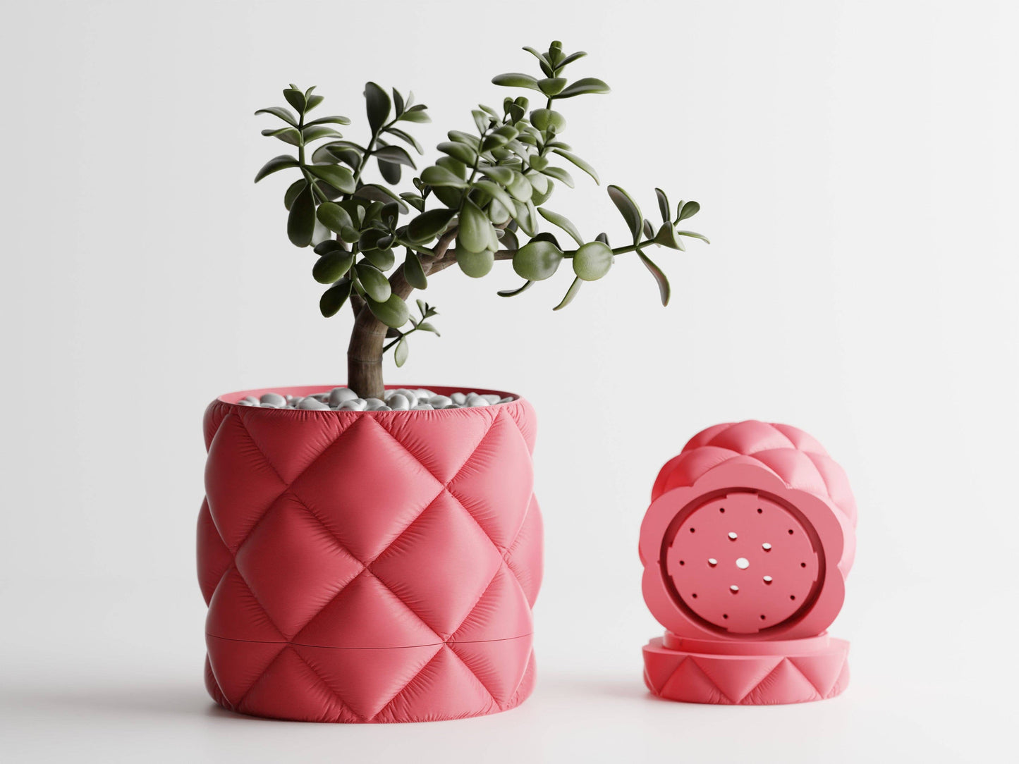 Inflated Planter Container with Drip Tray | Cute Home Decor