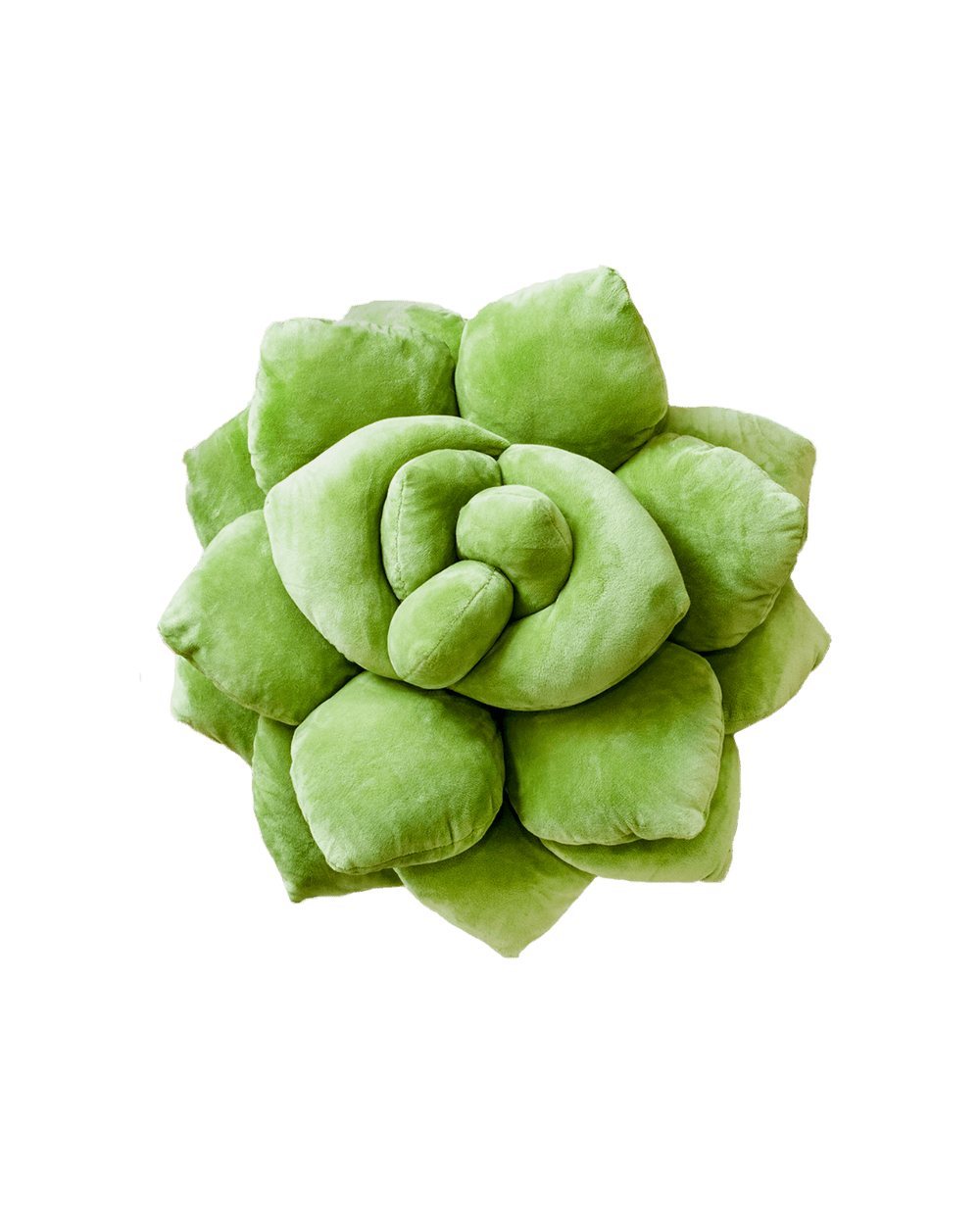 Lil' Pop Succulent® - Olive Green