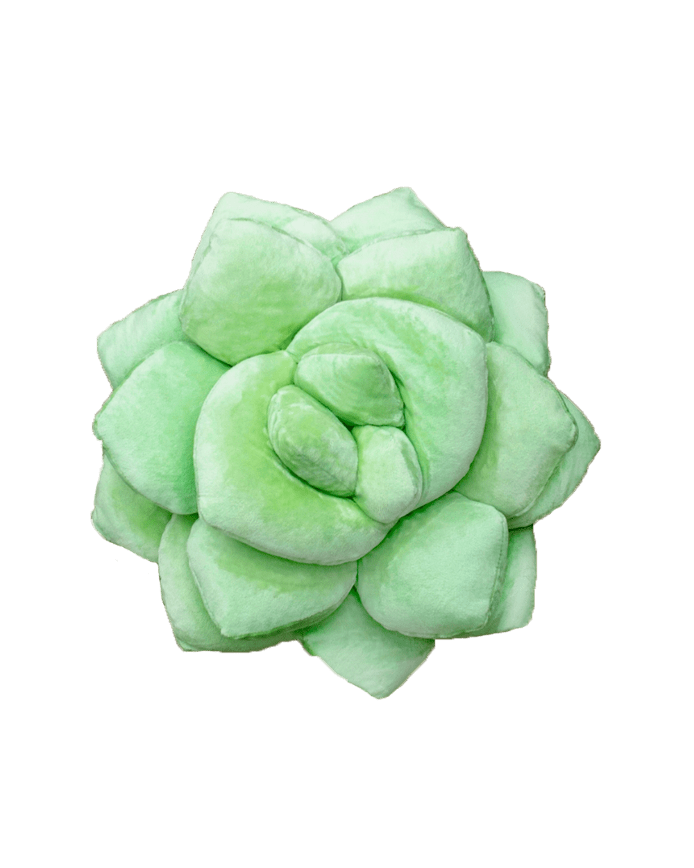 Lil' Pop Succulent® - Sage Green