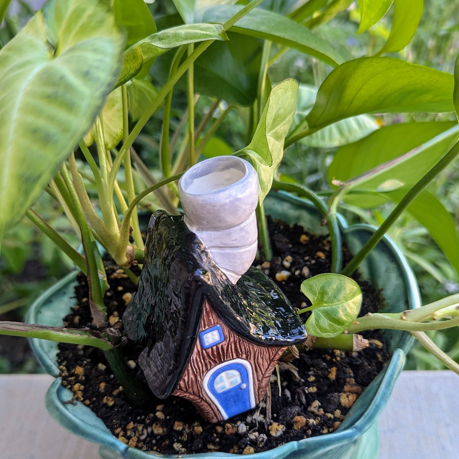 Home Garden