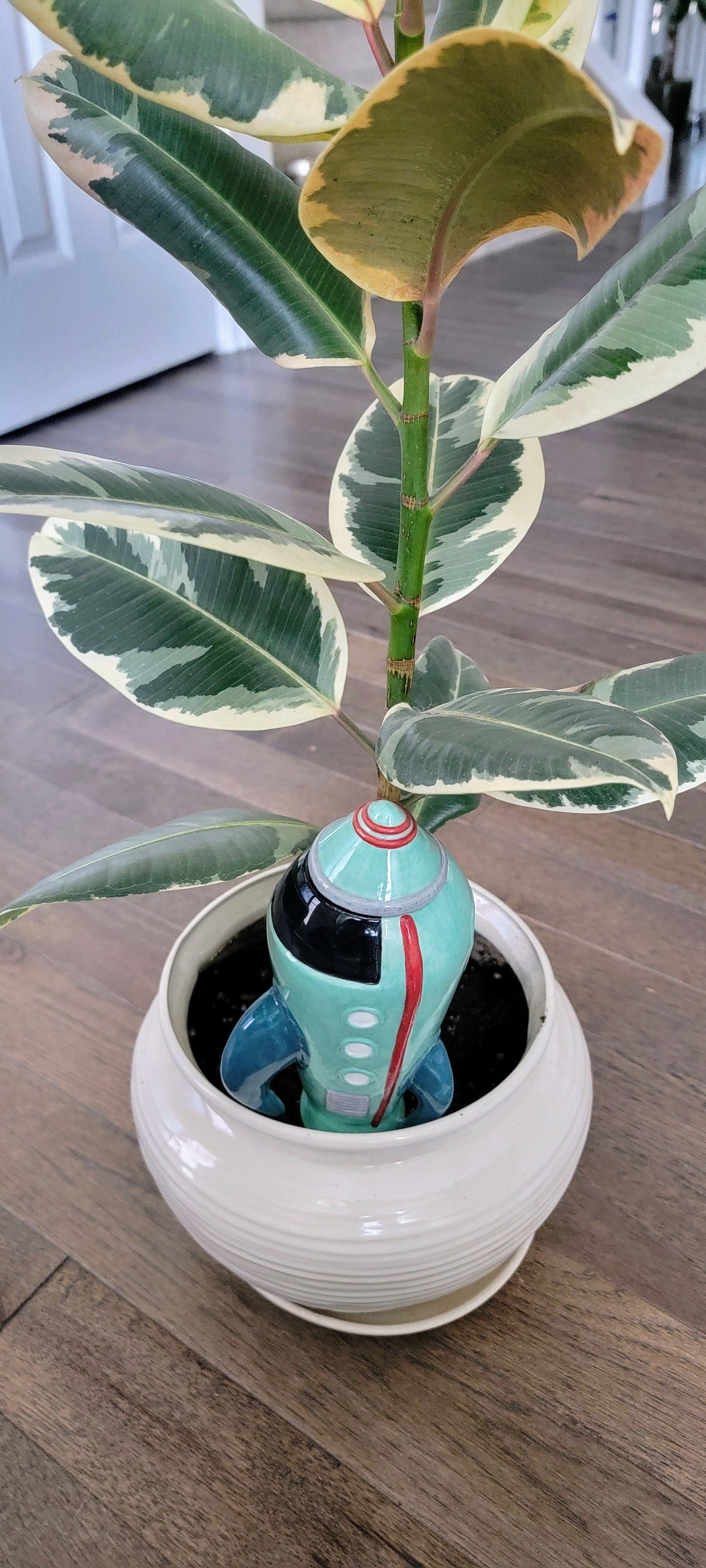 Rocketship Watering Spike