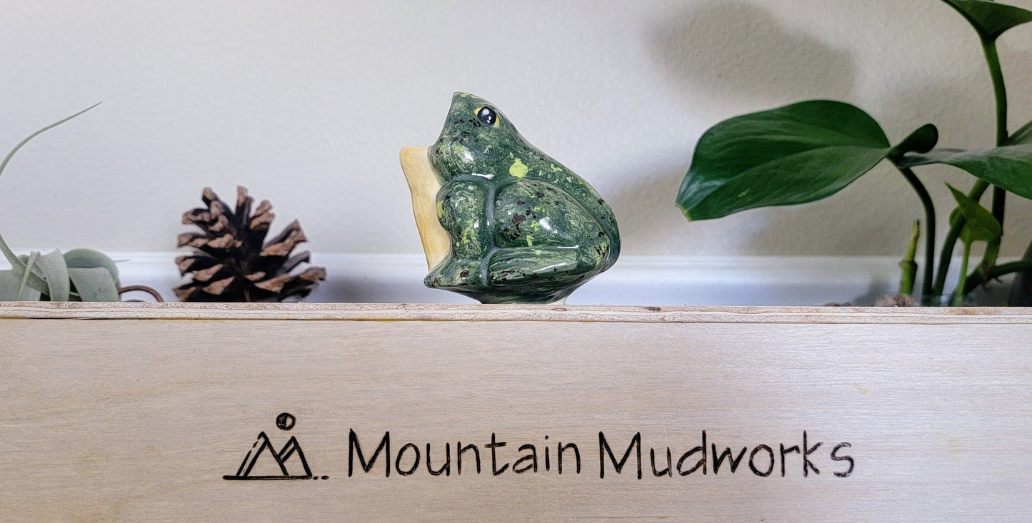 Open-Mouth Frog Plant Watering Spike