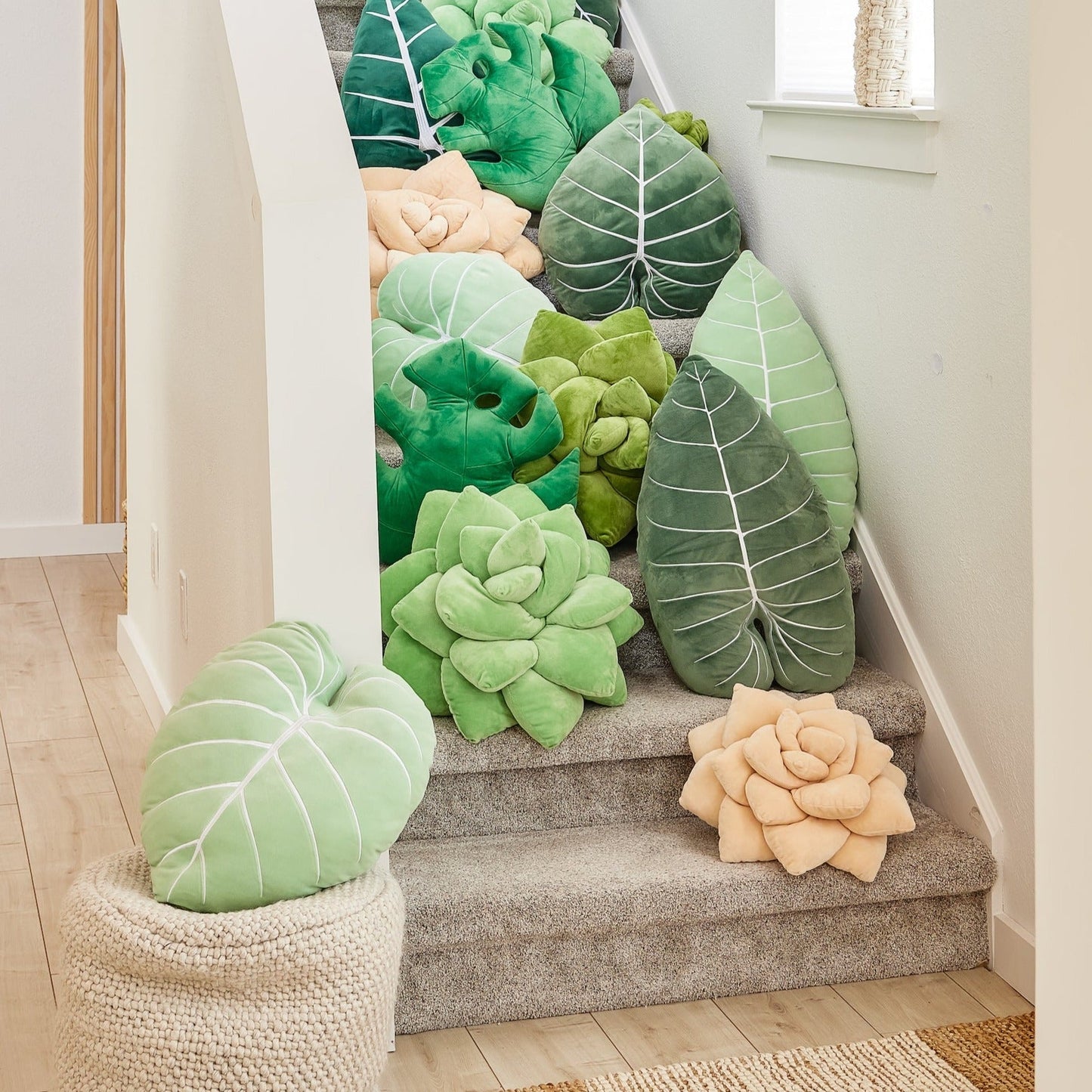 Lil' Pop Succulent® - Blush Peach