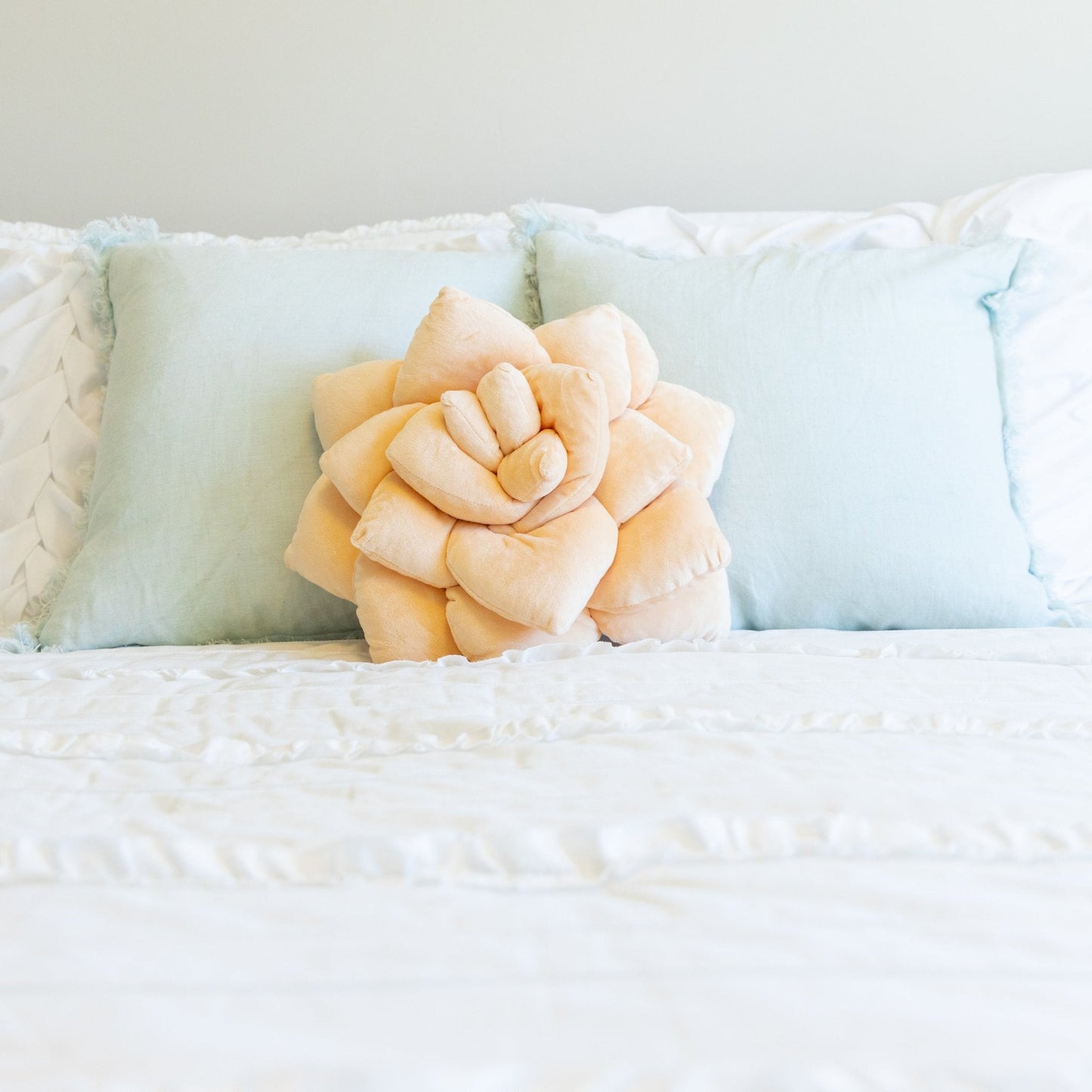 Lil' Pop Succulent® - Blush Peach