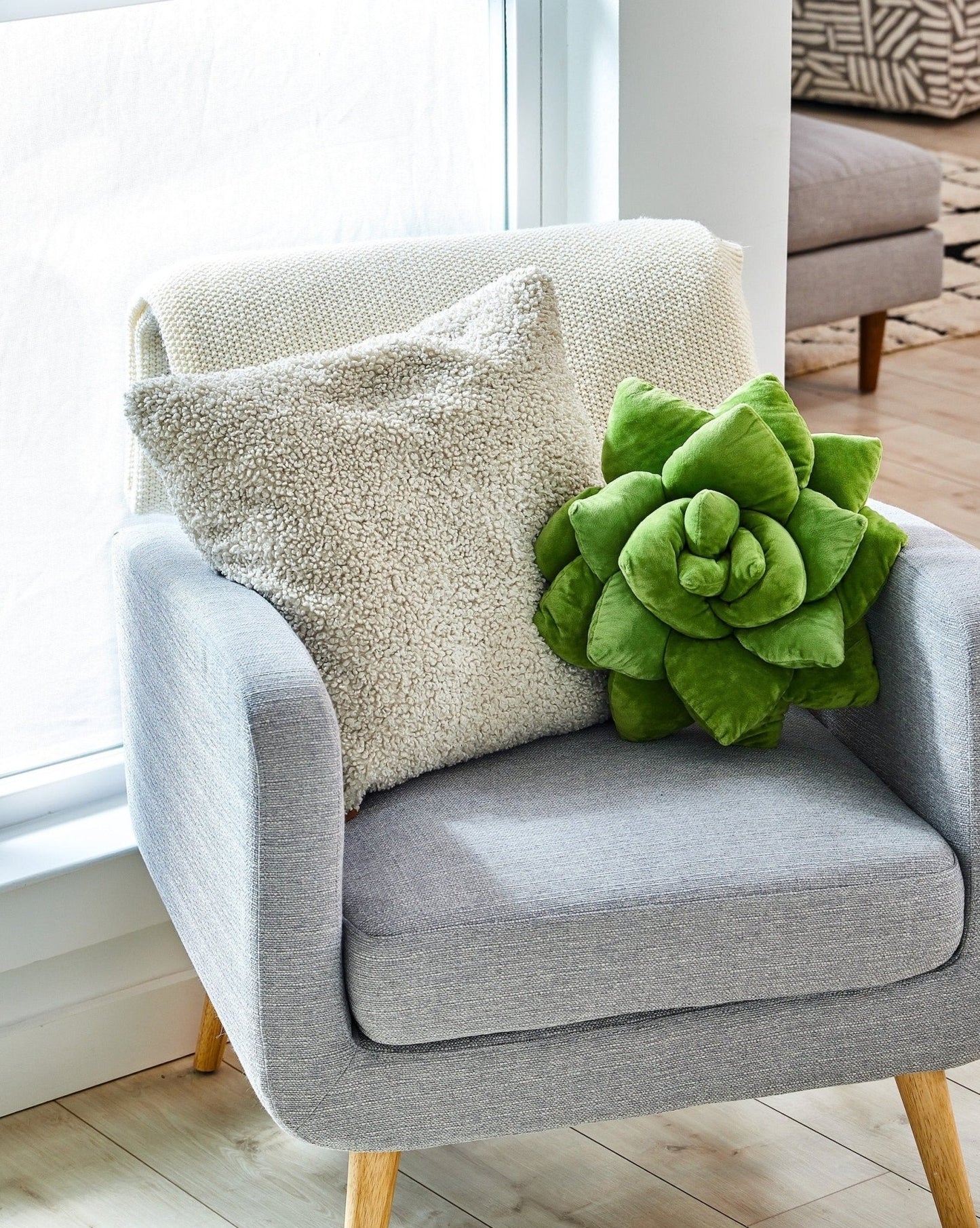 Lil' Pop Succulent®  - Olive Green