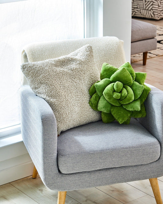 Lil' Pop Succulent®  - Olive Green