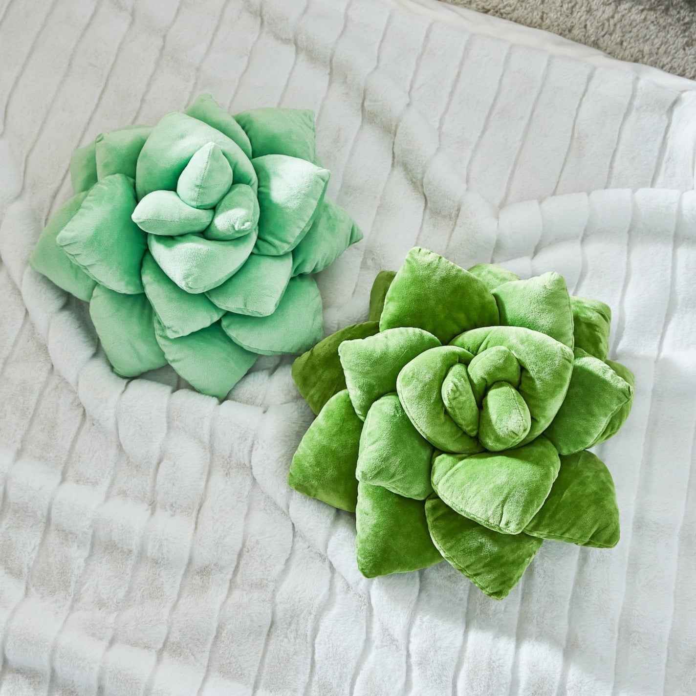 Lil' Pop Succulent®  - Sage Green